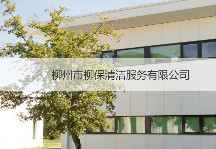 浅析专业保洁、清洗、消毒服务与环境卫生公共设施安装服务的经营范围